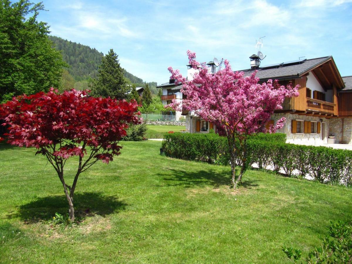 Ca'Milla B&B Nelle Dolomiti Pieve di Cadore Bagian luar foto